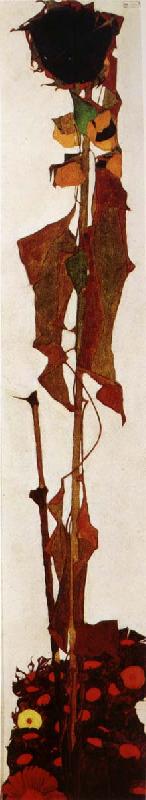 Egon Schiele Sunflower